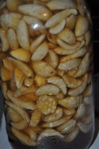 Pack Garlic into Brine in Jar